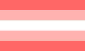 Travesti1 flag