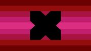 Inhosexual flag