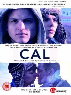 CalFilm2013.jpg