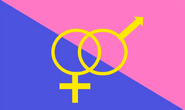 Bandera hetero 4.