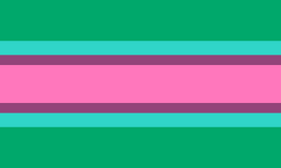 Bi4Bi flag