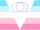 Alternate Dispugender Flag.png