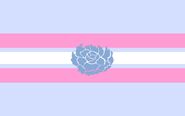 la bandera transexual de T1dez.
