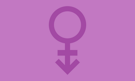 Androgynesexual
