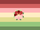Dualrose