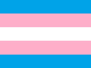 Trans Pride Flag.png 1