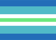 Bandera hombre agénero.