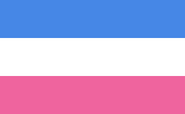 Bandera hetero 5.
