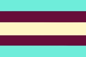 Concelosexuality flag