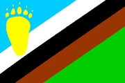 Bandera oso