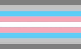 Demitransgender