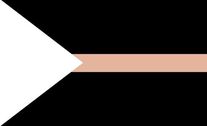 Noetisexual flag