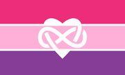 Pink polyam flag