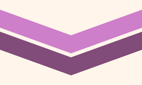 Chevron Queer Flag