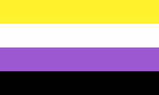 Non-binary pride flag with 4 horizontal stripes. The colors from top to bottom are yellow, white, purple, and black