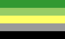 Second Aromantic Flag