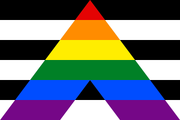A straight ally flag