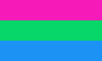 Polysexual Flag.svg