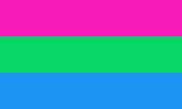 Polysexual Flag