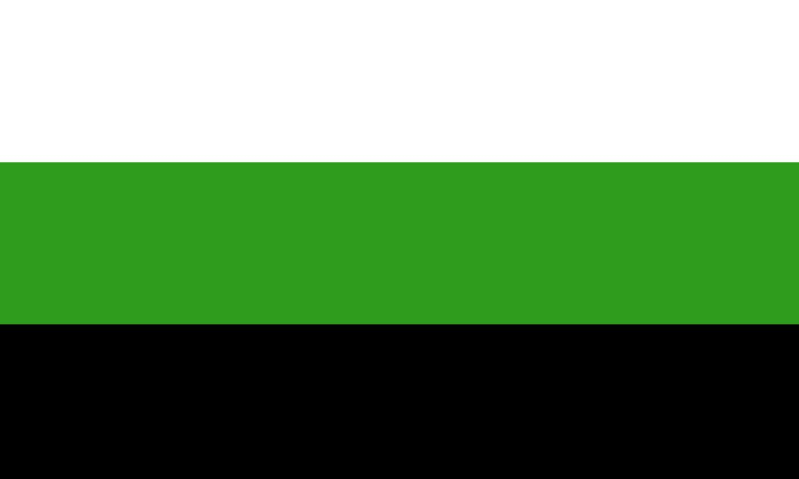 Neutrois pride flag; from top to bottom: white, green, black.