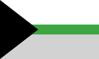 Demiromantic Flag