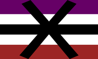 Apothisexual Flag