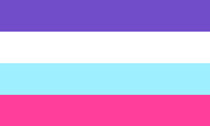 The multisexual pride flag; from top to bottom: purple, white, blue, dark pink.