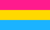 Pansexual Flag