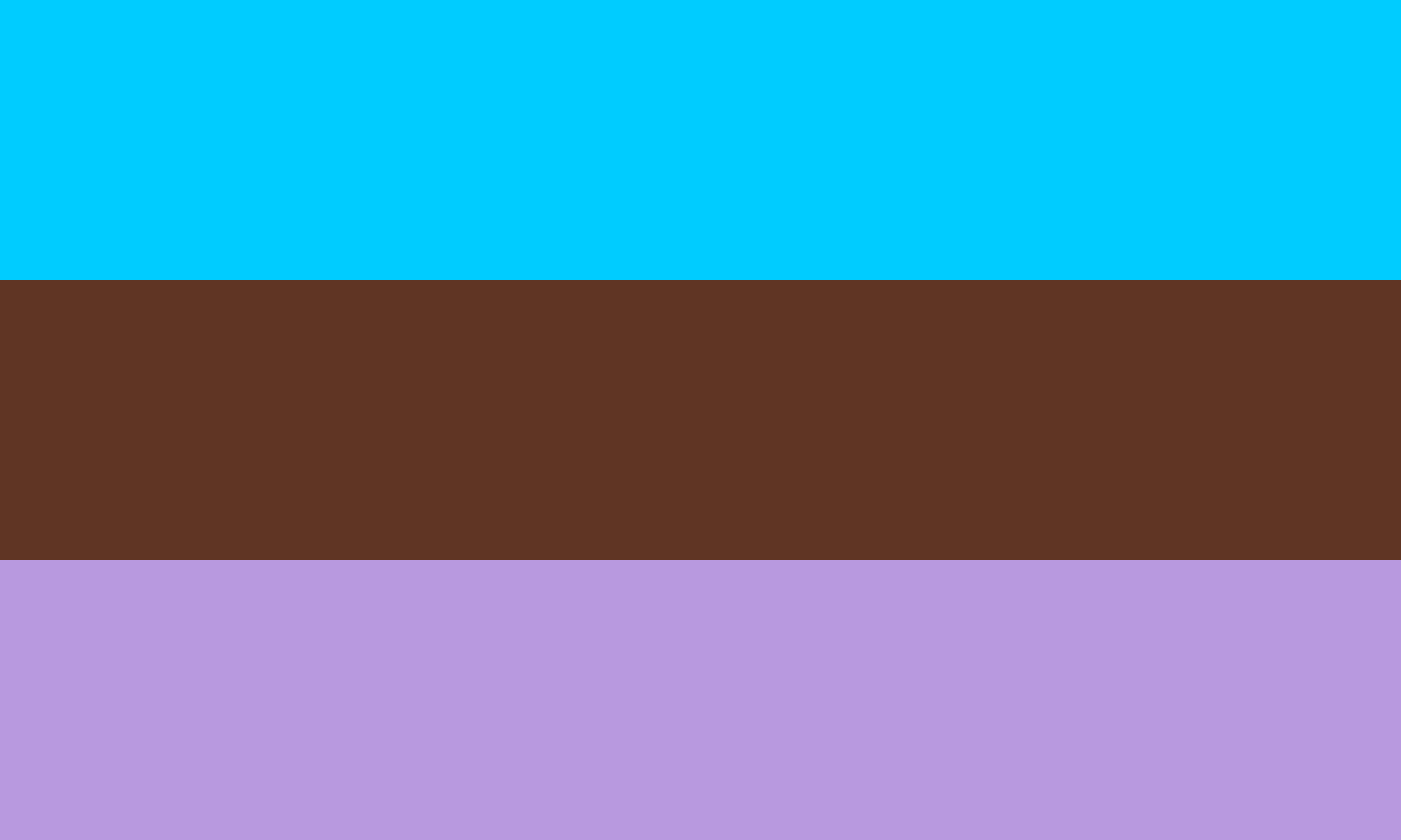 The androsexual pride flag; from top to bottom: light-blue, brown, purple.