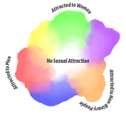 TrevorProjectSexualAttractionDiagram