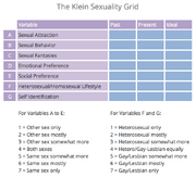 Klein sexuality grid