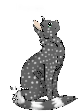 Plume de Crécerelle-0