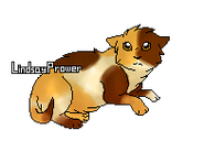 Pavot1.png (14 kio) version chatonne