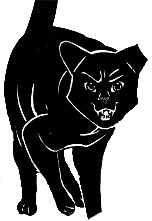 Griffe Noire-Étoile du Tigre et Sacha