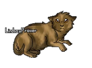 Version chaton