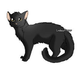 Thriftear version guerrière