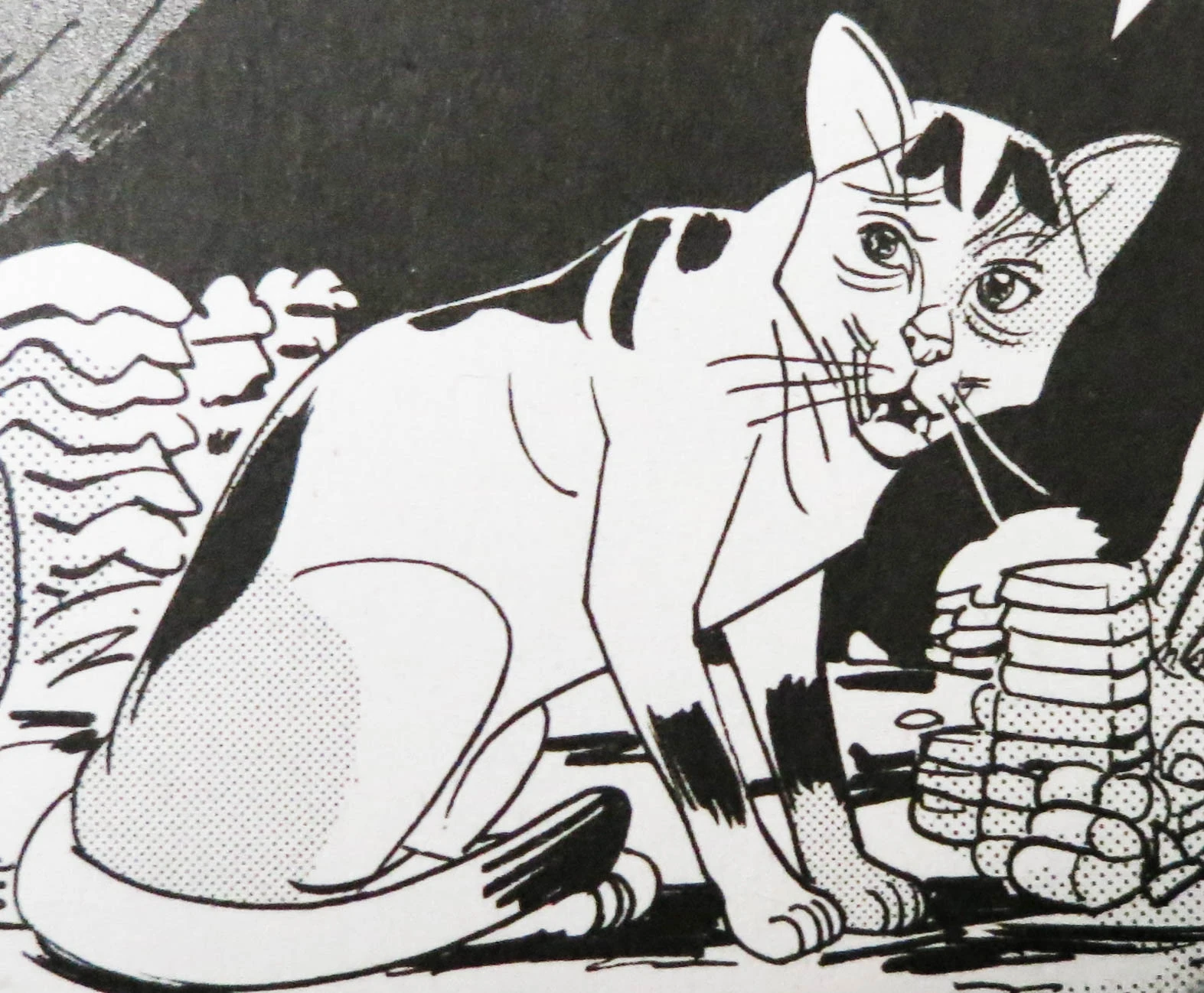 Rhume des Foins | Wiki La guerre des Clans | Fandom, image size:1573x1298