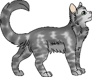 Tempête errant.png (32 kio) Version chat errant