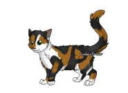 Aile de Cerise apprentie.png (44 kio) Version apprentie