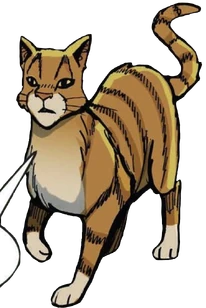 Feuille de Lune dans 