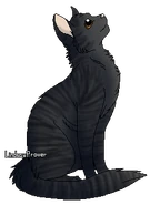 Shadowsight.png (56 kio) Version guérisseur