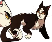 Étoile Filante dans 