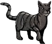 Nimbes Tigrés dans le manga de 