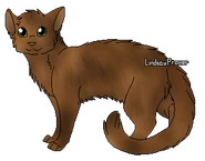 Turtlecrawl.png (65 kio) Version guerrière