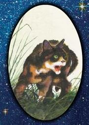 Tawnypelt (1).jpg