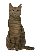 Longue Plume.Clan des Étoiles.alt.png (46 kio) Version chat du Clan des Étoiles