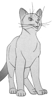Sacha manga.png