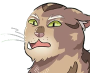 Étoile Balafré dans 