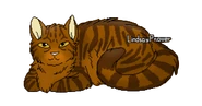 version ancien