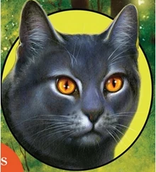 Gris Poil sur la couverture anglaise de 